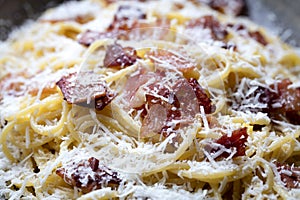 Spaghetti Carbonara Closeup