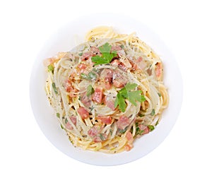 Spaghetti carbonara isolated photo