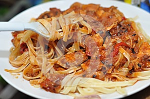 Spaghetti with chicken sauce