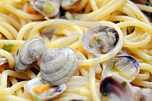 Spaghetti with clams closeup