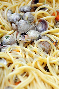 Spaghetti and clams closeup