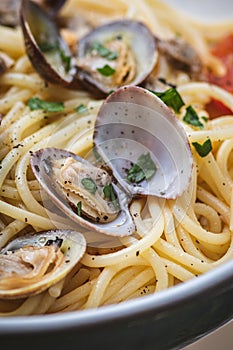 Spaghetti with clams in a plate