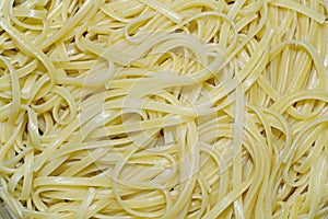 Spaghetti close up