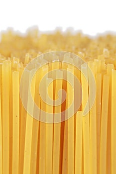 Spaghetti with copy space