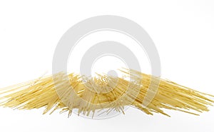 Spaghetti isolated