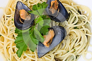 Spaghetti with mussels closeup