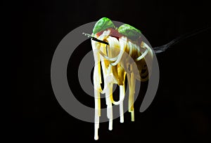 Spaghetti pasta with tomato sauce and basil on a fork on dark wooden background