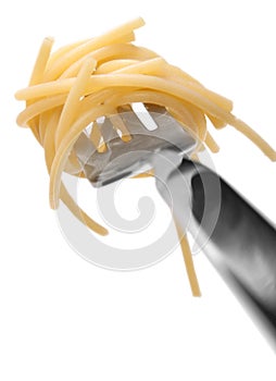Spaghetti pasta twirled on a fork