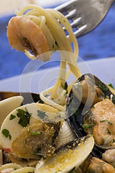 Spaghetti with seafood