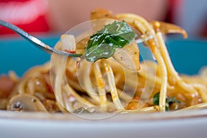 Spaghetti with Spicy Mixed mushroom and basil.Thai fusion food.