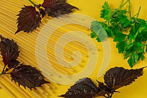 Spaghetti sticks, parsley and sweet basil leaves on yellow kitchen table background. Food photo for recipe, Italian cuisine or
