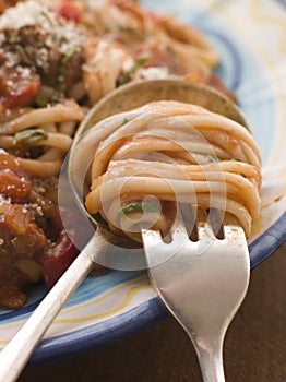 Spaghetti and Tomato Sauce twisted on a fork