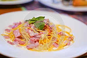 Spaghettie carbonara with ham and parmesan cheese