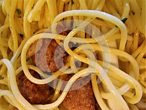 Spaghettii and Meatballs Up Close and Personal