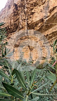 Spain, Andalusia Royal Trail Also Known as El Caminito Del Rey - Mountain Path Along Steep Cliffs in Gorge Chorro