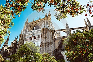 Spain, Andalusia, Seville, the Cathedral bell tower seen from the orange tree courtyard