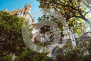 Spain, Andalusia, Seville, the Cathedral bell tower seen from the orange tree courtyard