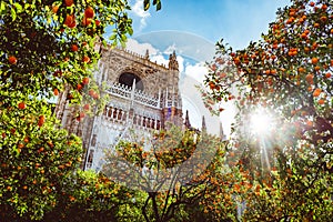 Spain, Andalusia, Seville, the Cathedral bell tower seen from the orange tree courtyard