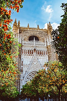 Spain, Andalusia, Seville, the Cathedral bell tower seen from the orange tree courtyard