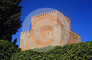 Spain, Castilla y Leon, Ciudad Rodrigo. Historical centre. photo