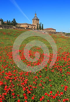 Spain, Castilla y Leon, Ciudad Rodrigo. Santa Maria Cathedral