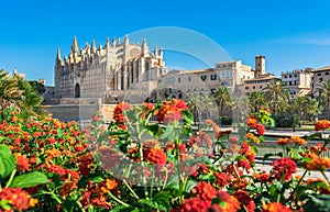 Spain, Cathedral La Seu at old town of Palma de Majorca