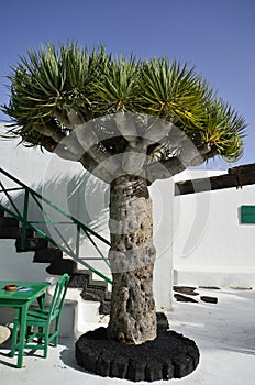 Spain, Lanzarote Island photo