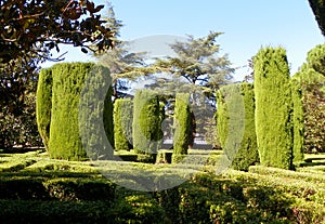 Spain, Madrid, Sabatini Gardens, nature in the park