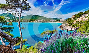 Spain Majorca Canyamel