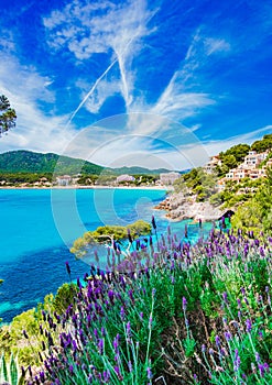 Spain Majorca coast, picturesque nature landscape at seaside of Canyamel