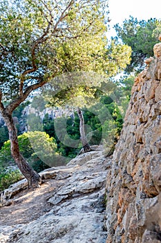 Spain Majorca island, beautiful beach bay Cala Pi, Mediterranean Sea