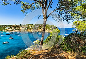 Spain Majorca Mallorca bay with boats at Portals Vells photo