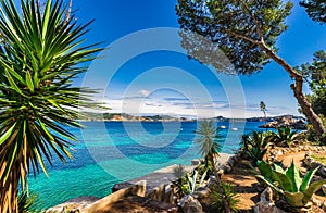 Spain Mallorca, tropical view of bay in Cala Fornells