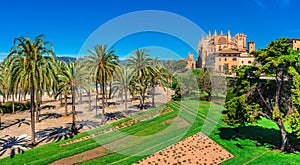 Spain Palma de Majorca Cathedral La Seu