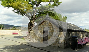 Spain, Pamplona, Ronda Obispo Barbazan, Mirador del Caballo Blanco, tree and stone building photo