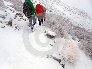 Spain Tenerife Teide national park refuge Altavista Montana blanca Pico del Teide photo