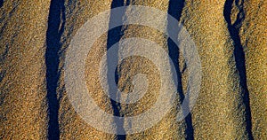 spain texture abstract of a dry sand