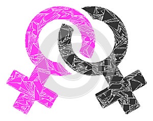 Spall Mosaic Lesbian Symbol Icon