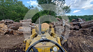 Spalted logs from the perspective of a tractor