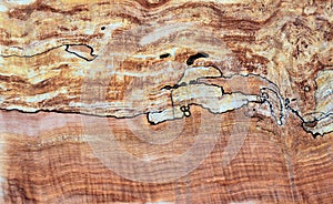 Spalted Maple wood panel