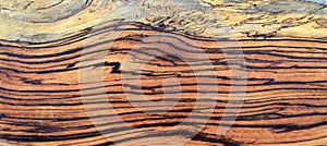 Spalted Zebra wood panel