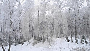 Span with drone over winter forest