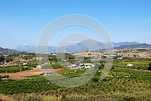 Farmland in the valley, Alora, Spain. photo