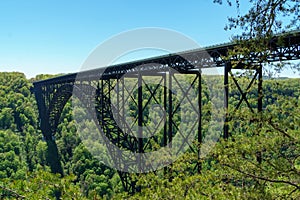 Span of the New River Gorge Bridge with pine tree foreground
