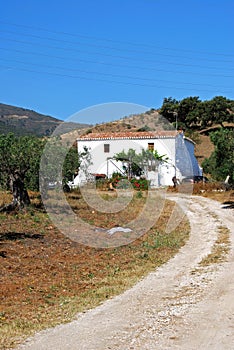 Farmhouse and olive trees, Alora, Spain. photo
