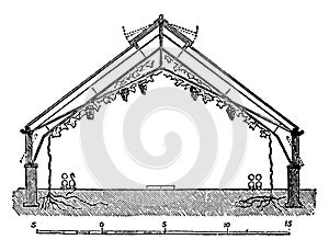 Span Roofed Vinery, vintage illustration