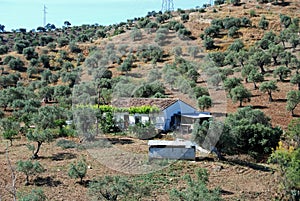 Farmhouse and olive groves, Alora, Spain. photo