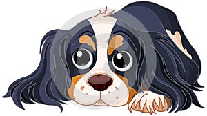 Spaniel Dog