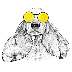 Spaniel dog head hand drawn illustration. Doggy in yellow sunglasses, isolated