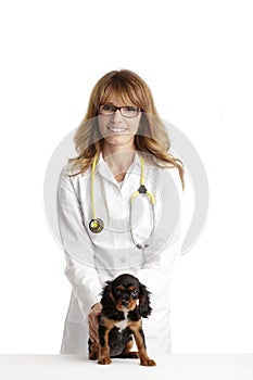 Spaniel puppy in front of a veterinarian doctor